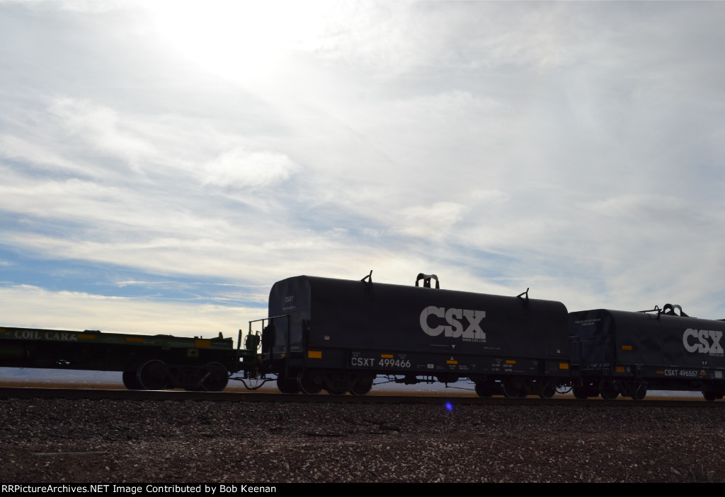 CSXT 499466